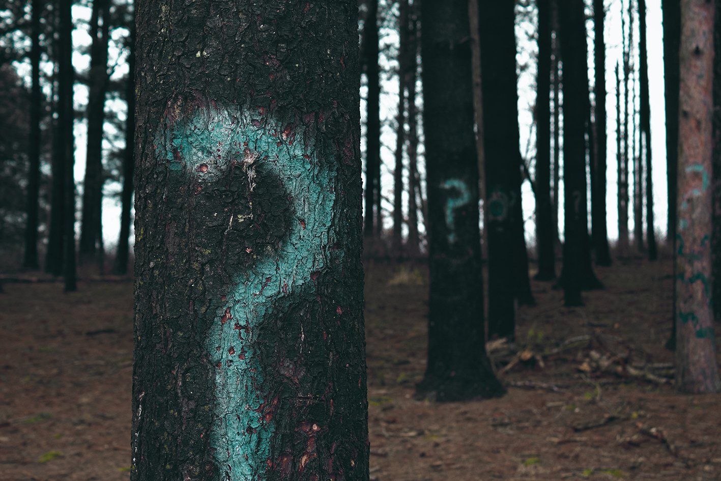 What is Branding?