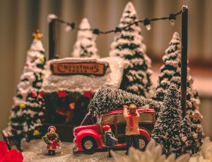 Have Yourself a Sustainable Little Christmas