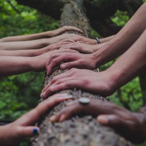 Making Meaningful Connections