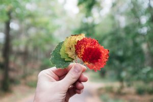 Developing Your Business Branding