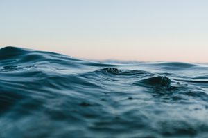 Finding Alignment, Ease and Flow in Your Business