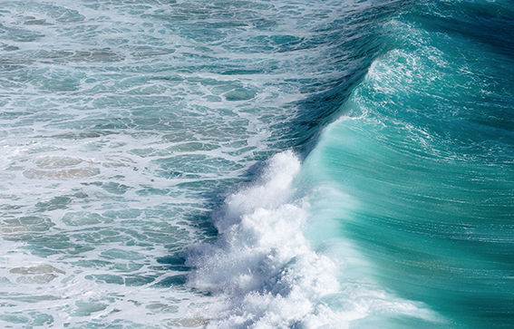 a photo of a wave swelling in the sea. The sea is a wonderful electric blue and cyan colour with a white crashing wave